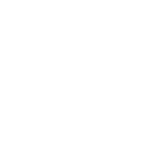 SAROJ MEHER
